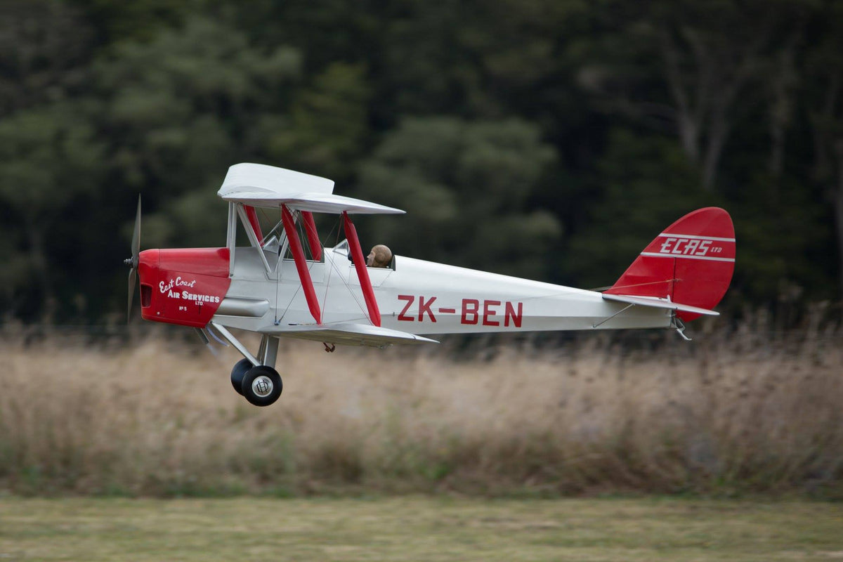 Hangar 9 on sale tiger moth