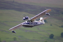 Anderson Kingfisher